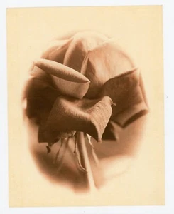 PHOTO photographie sur toile PANOTYPE contemporain, une rose - Picture 1 of 1