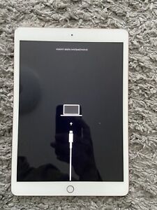 Apple iPad 7. Gen. 32GB, WLAN , 25,91 cm (10,2 Zoll) - Gold