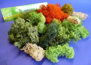 Jordan ISLANDMOOS BUNT sortiert gemischt GROßPACKUNG "Made in Germany"    70A - Bild 1 von 1