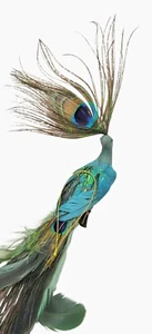 Peacock Bird Clip On Ornament Real Feathers 12” Blue Green - Picture 1 of 7