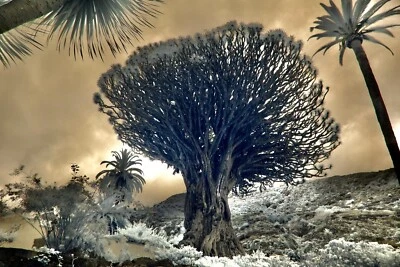 Infrared 720nm Filter 67mm ***720nm **  **  See Video** UK Seller - Image 1 of 4