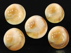 50.80CT Natural Ojo de Shiva Suelto Piedra Preciosa Cabujón 5Pcs Lote-27120 - Picture 1 of 3