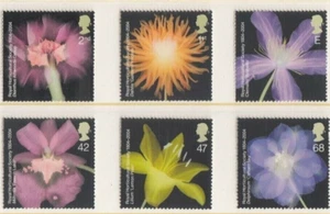 MINT 2004 GB HORTICULTURAL SOCIETY FLOWERS STAMP SET  - Bild 1 von 1