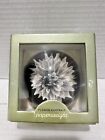 Flower Portrait Paperweight Photograph From J. Horace McFarland Collection