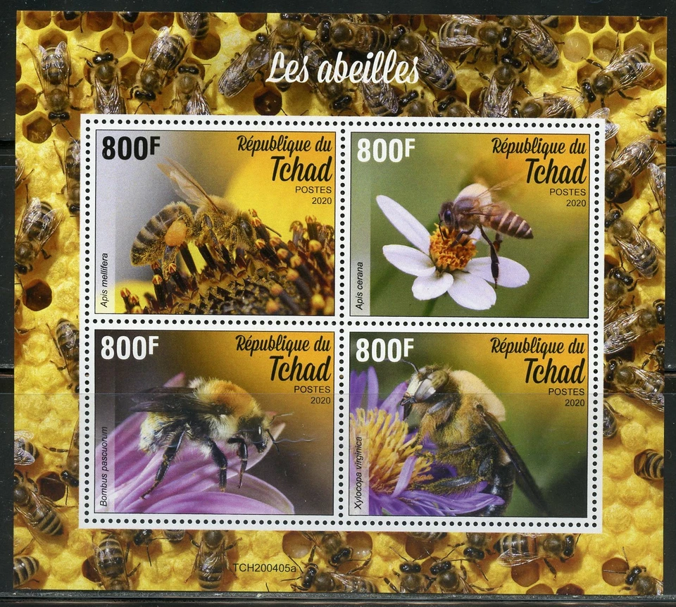 Chad 2020 Api Foglio come Nuovo Mai Incernierato - Immagine 1 di 1