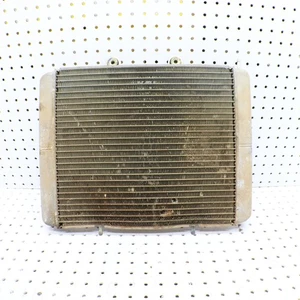 2009 Polaris Rzr 800 Radiator 1240319; 1241480 - Picture 1 of 17