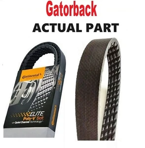 Serpentine Poly-V Belt The Quiet Belt GATORBACK CONTINENTAL ELITE 4040390 - Picture 1 of 3
