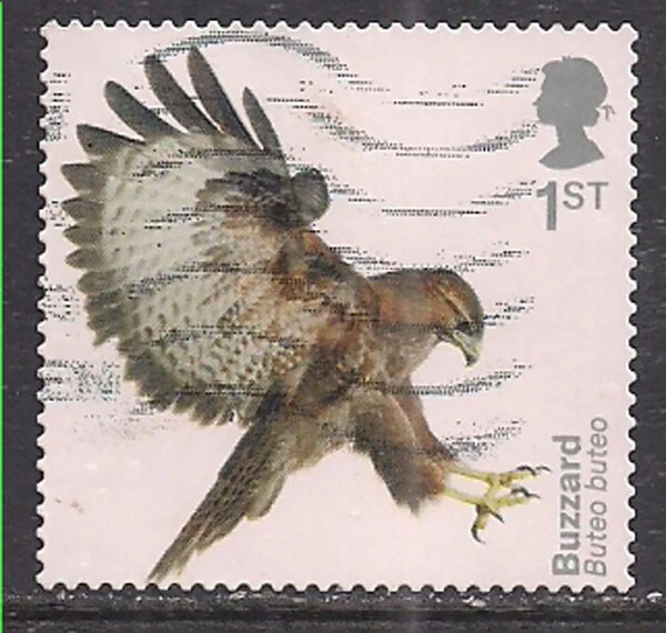 GB 2019 QE2 1st Birds of Prey Buzzard S / A SG 4210  CV £15 ( L904 ) - Image 1 of 1