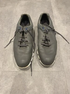 FootJoy PRO SL FJ Golf Shoes Spikeless Gray Lace-Up Men’s UK 11 - Picture 1 of 9