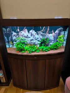 Juwel Vision Rio 180 l Aquarium mit Unterschrank und CO2 Anlage gebraucht - Bild 1 von 2