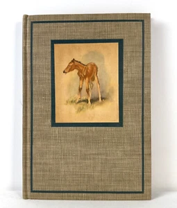 The Red Pony by John Steinbeck ~ First Illustrated Edition 1945 - Picture 1 of 8