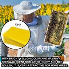 Bee Honey Sheets Beehive Wax Foundation Beekeeping Equipment