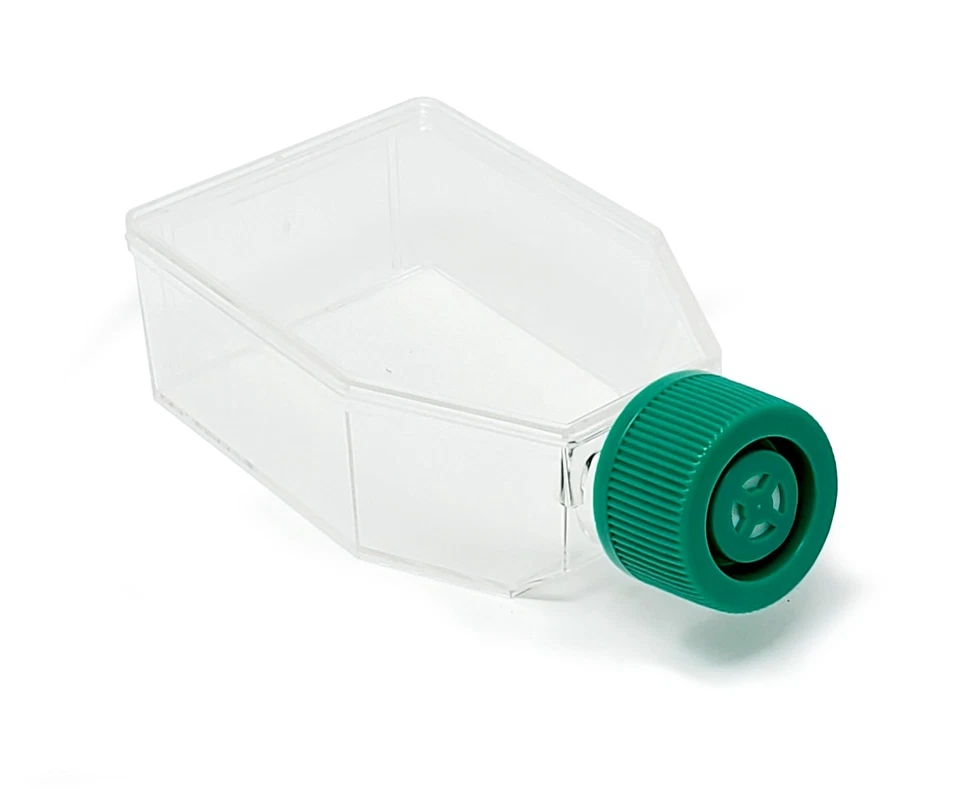 SPL LIFE SCIENCES SPL Cell Culture Flask 25 cm² (T25) Filter Cap, Treated, Sterile, 200/Case