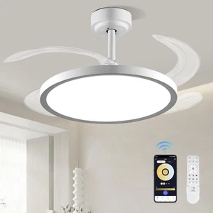BAYSQUIRREL Slim Retractable Ceiling Fan with Lights and Remote/APP Control,6... - Picture 1 of 9