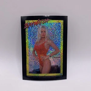 1995 RARE Baywatch Pamela Anderson distributeur automatique de prisme autocollant Casey Jean CJ - Photo 1/6