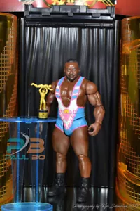 WWE ROH AEW WCW ECW NXT K MATTEL BP43 GRANDE E INTERCAMBIO DE CABEZA PERSONALIZADO - Imagen 1 de 1