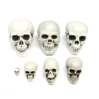 Plastic Miniature Human Head Skeleton Skull Figurines Sculpture Halloween Decor - Image 1 of 4