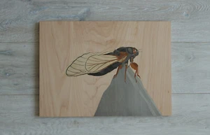 Cicada wood mosaic, marquetry, Insect wood wall art, cicada wood inlay - Picture 1 of 12