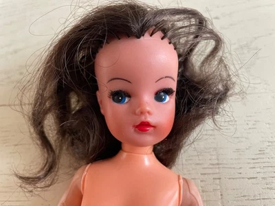 Muñeca Pedigree Sindy | Activa / Bailarina | Doble Copa Cintura | con algunos problemas Foto 1 de 4