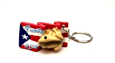 PUERTO RICO PR BORINQUEN FROG COQUI ON FLAG KEY CHAIN WITH RING SOUVENIRS - Image 1 of 4
