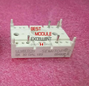 1PCS SEMIKRON SK30GAL123 power supply module NEW 100% Quality Assurance - Picture 1 of 1