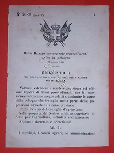 Decreto Regno Italia - Provvedimenti contro la pellagra - 1884 - Picture 1 of 1