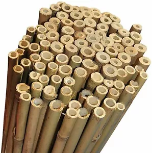 25 Canne di Bamboo per orto diametro 25/35 altezza 250 cm Bambù - tutori canna - Foto 1 di 3