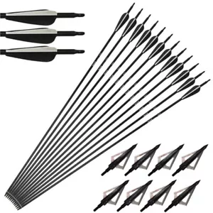 6/12p 30'' Fiberglass Arrow Arrowhead SP500 Archery Recurve Blade Compound Bow - Picture 1 of 9