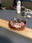 ooak dollhouse miniatures 1:12 Artist Made Kitten with Bed