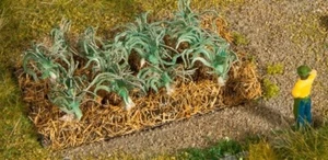 NOCH - 12 Plants de poireaux miniatures - 1/87 - NOC13222 - Imagen 1 de 1