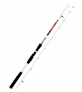 CANNA JATSUI SQUID HUNTER SEPPIA CALAMARO 2,40 mt power 120 gr - Foto 1 di 1