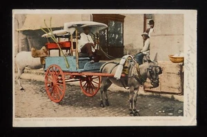 1905 Carrello del Venditore Frutta Carro Asino Avana Cuba La Habana Co Cartolina - Foto 1 di 2