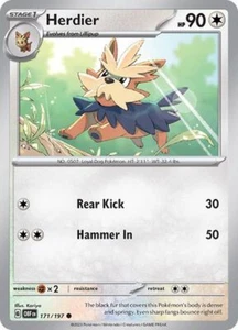 Herdier Obsidian Flammen Pokémon TCG 171/197 Regular Common ࿊ - Bild 1 von 1