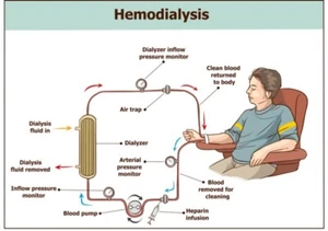 dialysis monthly rounder for iPad or server based on filemmaker - Picture 1 of 13