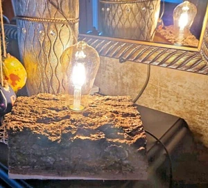 Tischlampe Holz Baumstamm NATUR selfmade - Bild 1 von 8