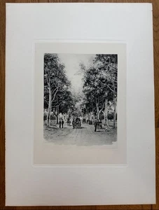 1888 Photogravure “Eucalyptus Avenue” WC Fitler, Inglewood, CA “Picturesque CA” - Picture 1 of 6