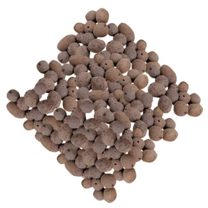 Wasserabsorbierende Und Wasserhaltige Keramikpellets Blähton Für Pflanzen - Bild 1 von 12