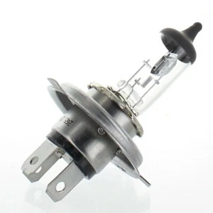 Mahindra Roxor OEM Bolero Maxx Scorpio HL Spare Bulb Halogen 17010A0010N **NEW** - Bild 1 von 3