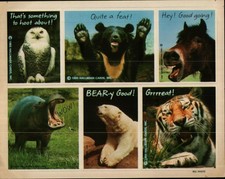 RARE Vintage Sheets Hallmark Stickers ~ Cute Wild Animals Bear Lion Owl 1985