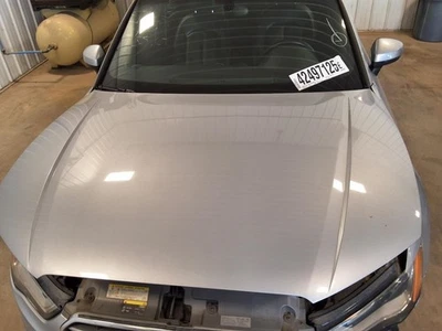 (LOCAL PICKUP ONLY) Hood Fits 15-20 AUDI A3 1606989 Foto 1 de 4