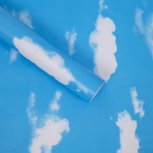 Sky Blue Cloud Wallpaper Feature Wall Art Decor Adhesive PVC Washable Vinyl 5m - Picture 1 of 4