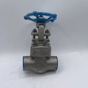 Sharpe Absperrschieber 1" F316L Gehäuse 1600 PSI bei 100° SIEHE BESCHREIBUNG  - Bild 1 von 5