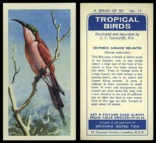 Southern Carmine Bee-Eater #17 Tropical Birds 1961 Brooke Bond Tea Card