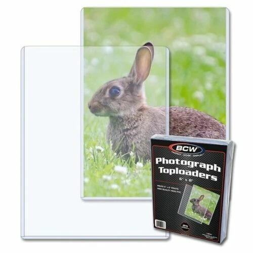 New (3 Pack) BCW 6x8 Rigid Hard Plastic Photo / Print Topload Holders 6 x 8
