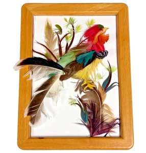 Mexican Bird Feather Art Handmade Wood Frame 6x8 - Picture 1 of 5