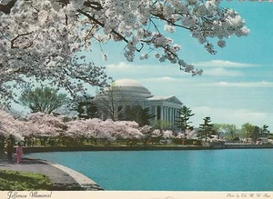 Jefferson Memorial, Washington, D.C. Postcard - Picture 1 of 2