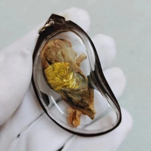 .Rare Thai Amulet Cat Placenta Wealth Magic Attract Power Money Luck Fortune - Picture 1 of 6