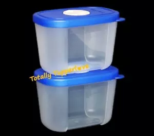 Tupperware 2 Freeze Smart Containers Dial Date Timers Freezer Mates Blue NEW - Picture 1 of 2