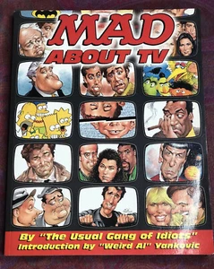 MAD ABOUT TV  BY THE "USUAL GANG OF IDIOTS" 1999 Intro by Wierd Al Yankovic - Picture 1 of 13