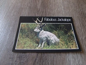 COLLECTIBLE FAMOUS JACKALOPE POSTCARD - Picture 1 of 2